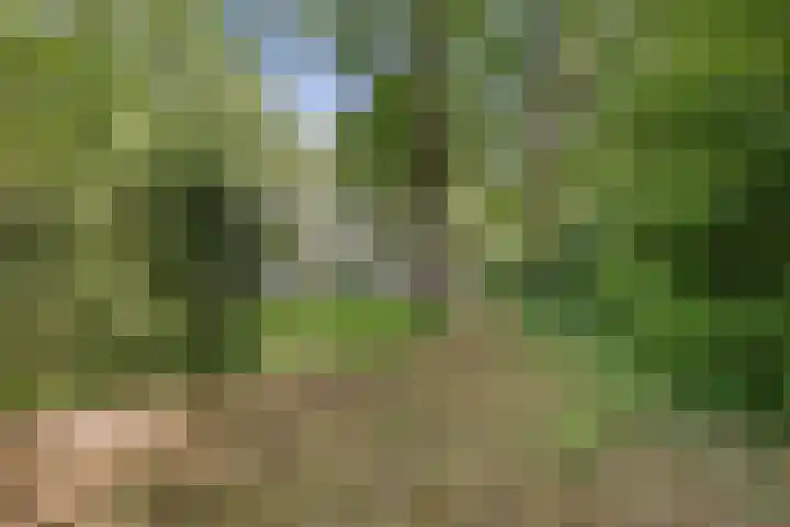 Laan van Rhemen van Rhemenshuizen 3 Wassenaar thumbnail 17