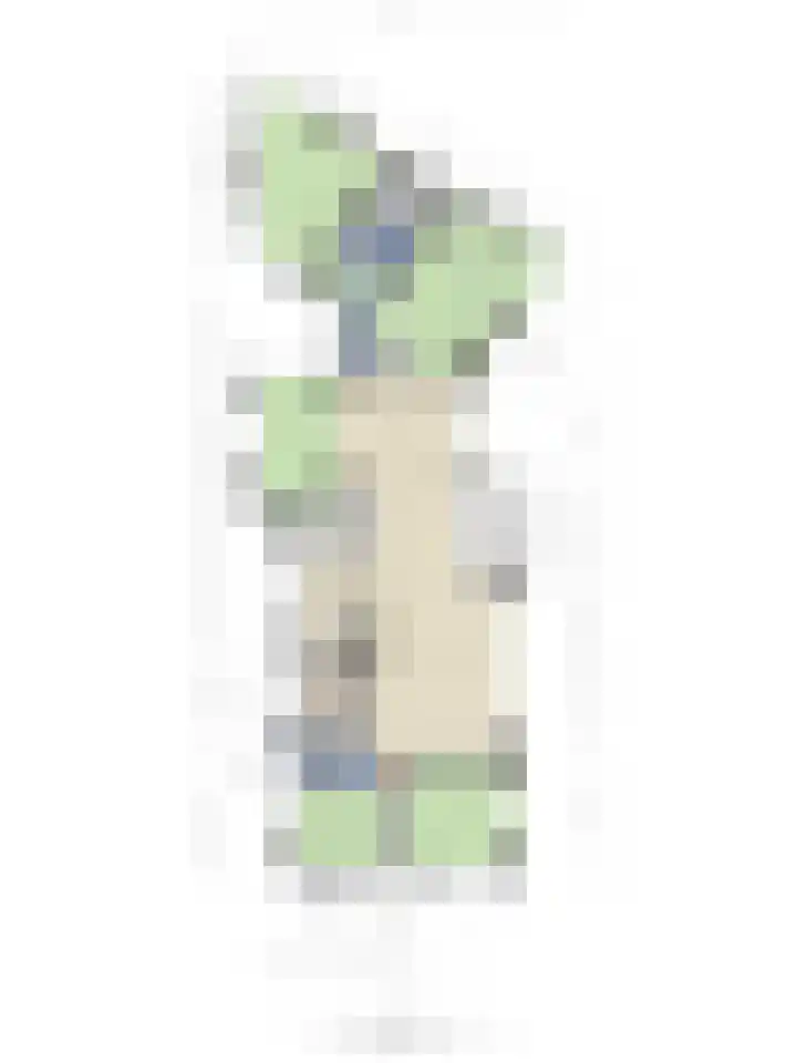 Laan van Rhemen van Rhemenshuizen 3 Wassenaar thumbnail 18