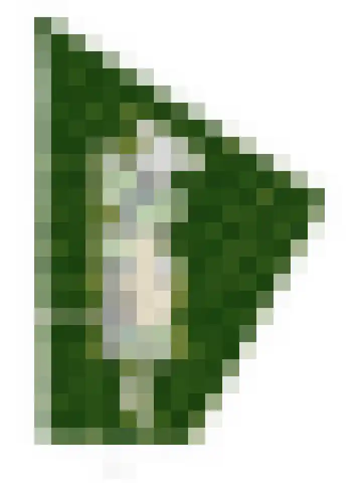 Laan van Rhemen van Rhemenshuizen 3 Wassenaar thumbnail 19
