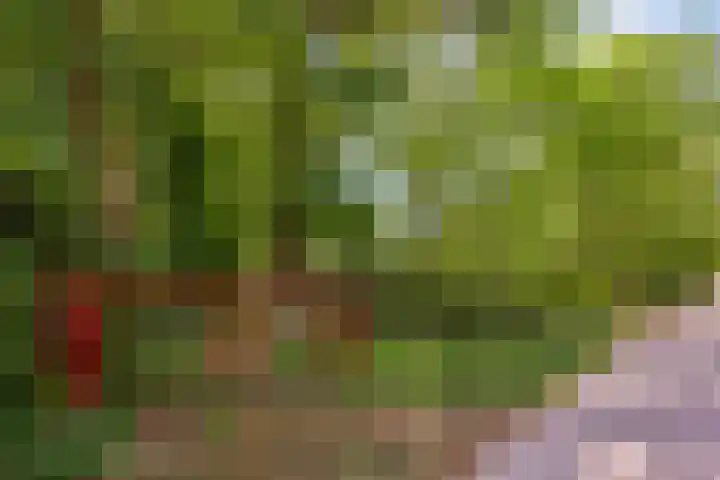 Laan van Rhemen van Rhemenshuizen 3 Wassenaar thumbnail 4