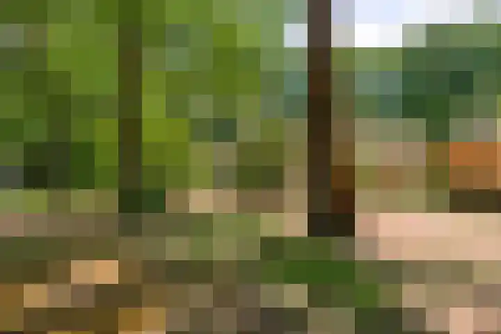 Laan van Rhemen van Rhemenshuizen 3 Wassenaar thumbnail 6