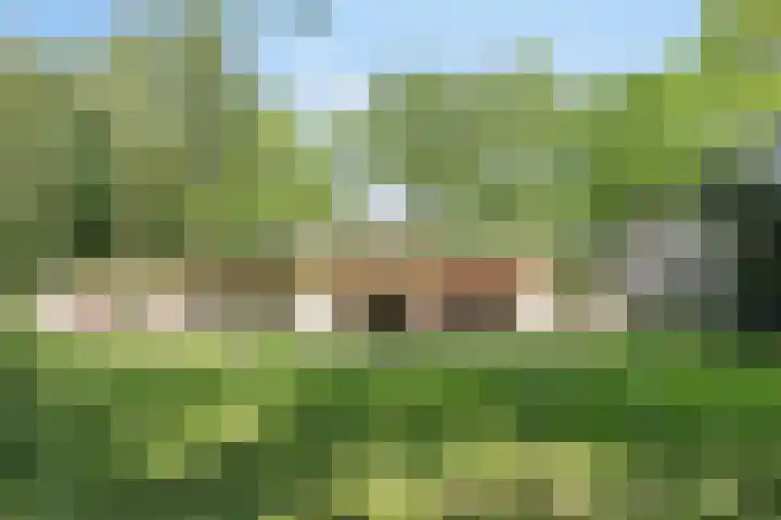 Laan van Rhemen van Rhemenshuizen 3 Wassenaar thumbnail 8