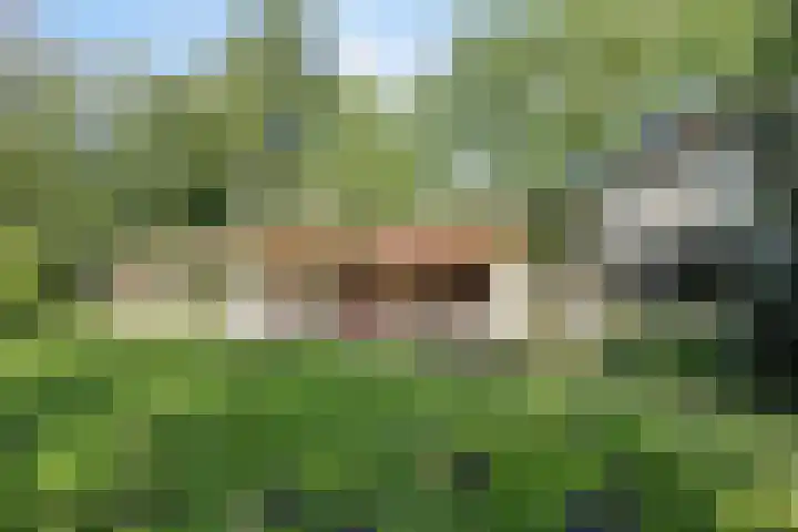 Laan van Rhemen van Rhemenshuizen 3 Wassenaar thumbnail 9