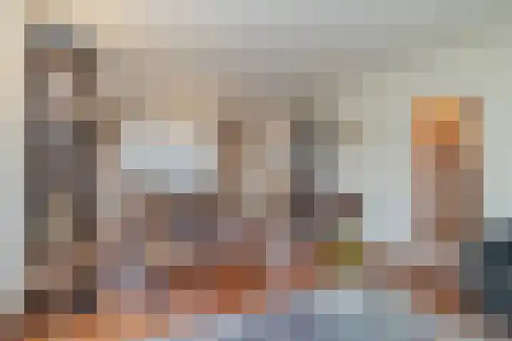 Laan van Rijckevorsel 23 Lisse thumbnail 10
