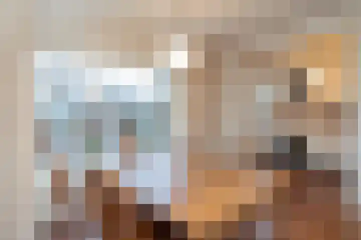 Laan van Rijckevorsel 23 Lisse thumbnail 13