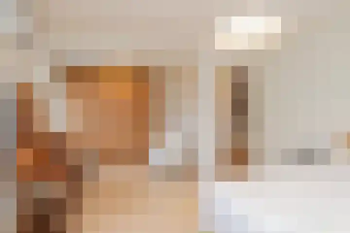 Laan van Rijckevorsel 23 Lisse thumbnail 17