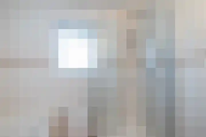 Laan van Rijckevorsel 23 Lisse thumbnail 20