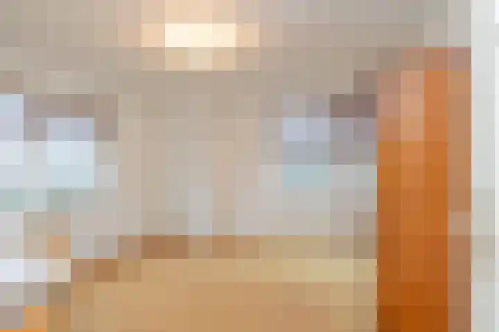 Laan van Rijckevorsel 23 Lisse thumbnail 21