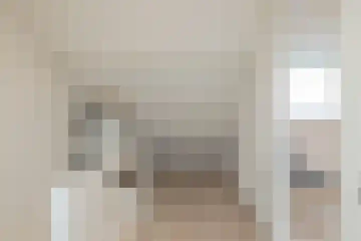 Laan van Rijckevorsel 23 Lisse thumbnail 24