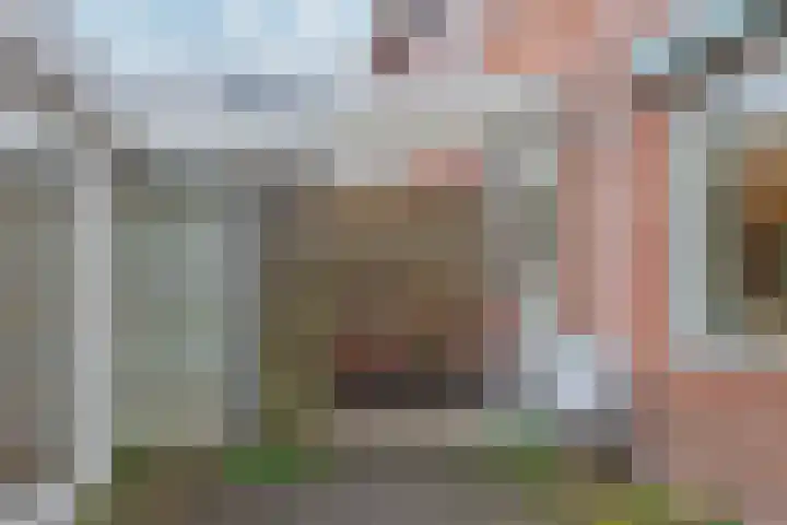 Laan van Rijckevorsel 23 Lisse thumbnail 28
