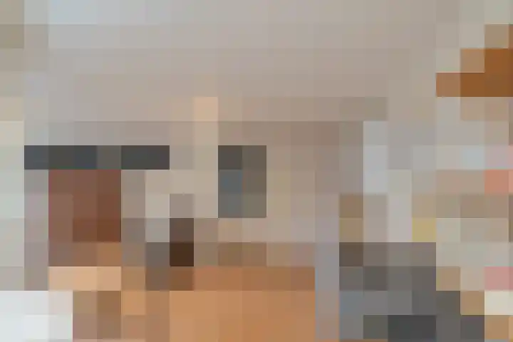 Laan van Rijckevorsel 23 Lisse thumbnail 29