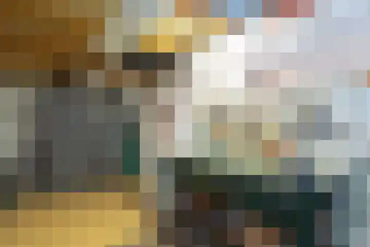 Laan van Rijckevorsel 23 Lisse thumbnail 33
