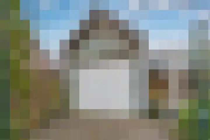 Laan van Rijckevorsel 23 Lisse thumbnail 34