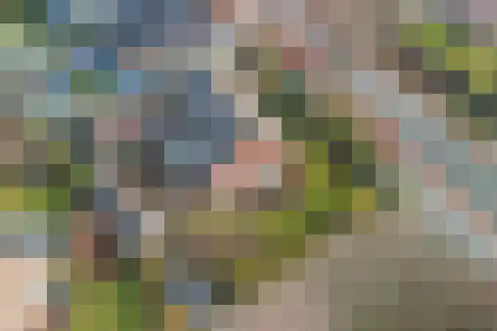 Laan van Rijckevorsel 23 Lisse thumbnail 36