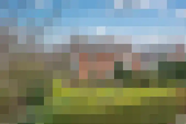 Laan van Rijckevorsel 23 Lisse thumbnail 4