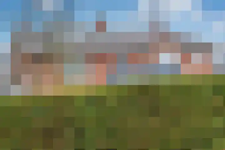 Laan van Rijckevorsel 23 Lisse thumbnail 5
