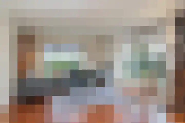 Laan van Rijckevorsel 23 Lisse thumbnail 9