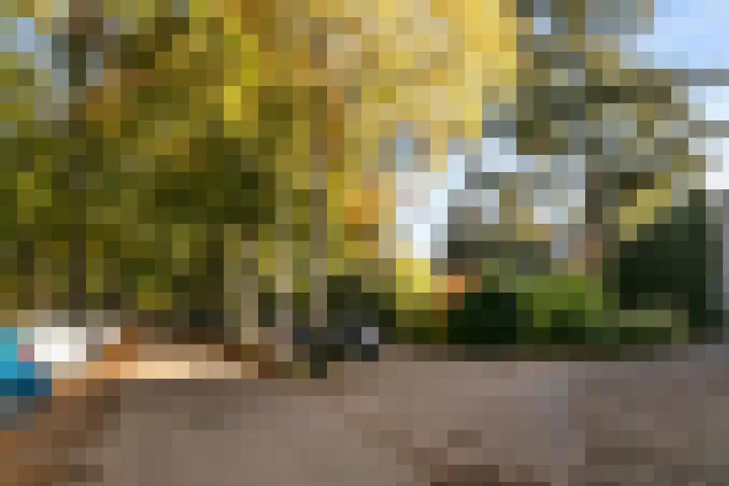 Laan van Rijnwijk 1 A1 Zeist thumbnail 29