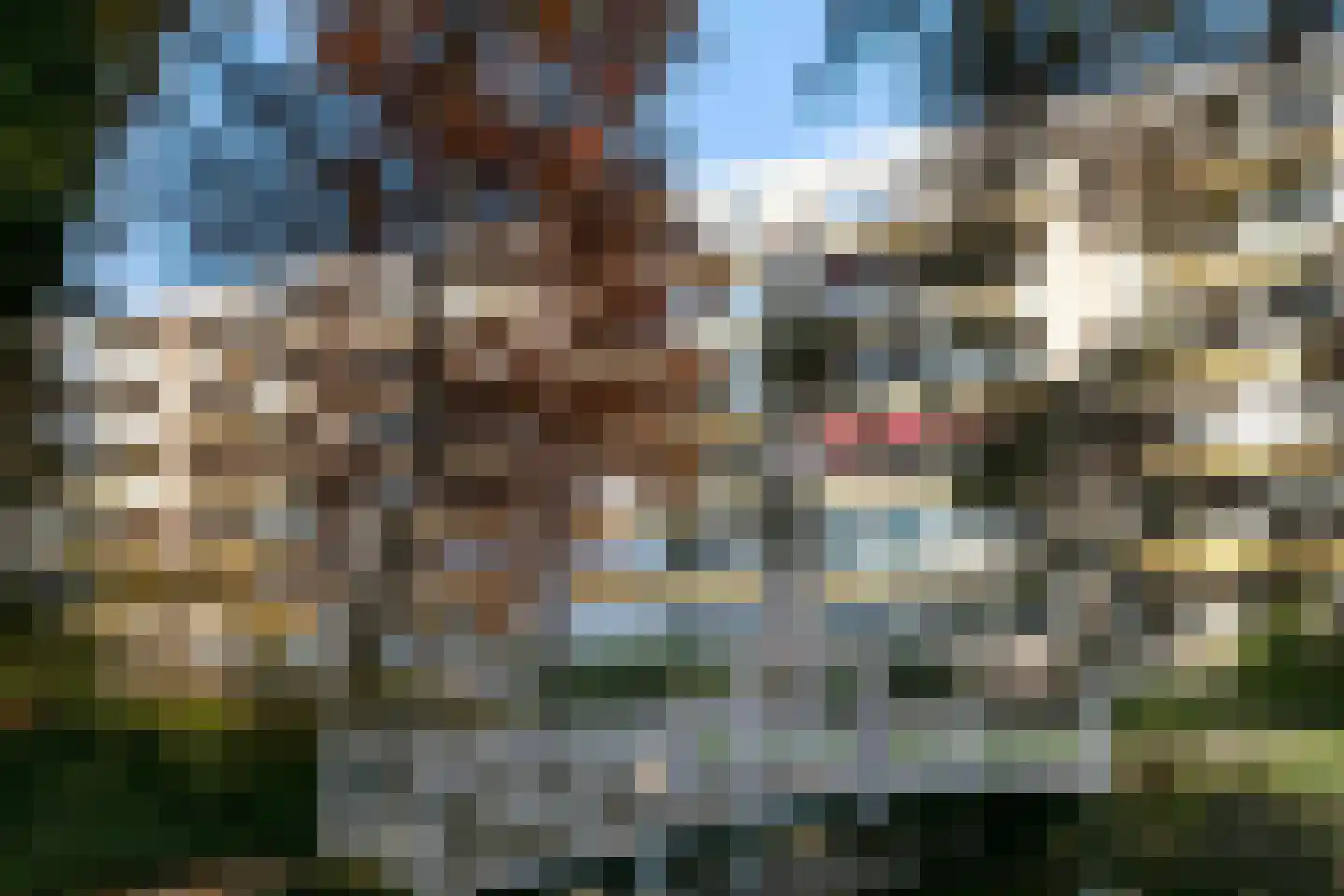 Laan van Rijnwijk 1 A1 Zeist foto 3