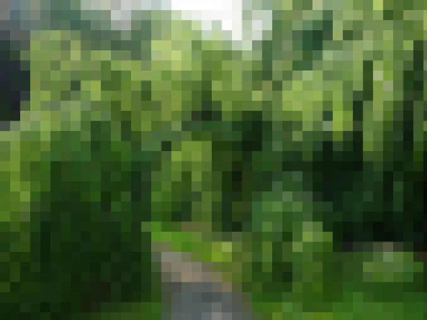 Laan van Rijnwijk 1 A1 Zeist thumbnail 30