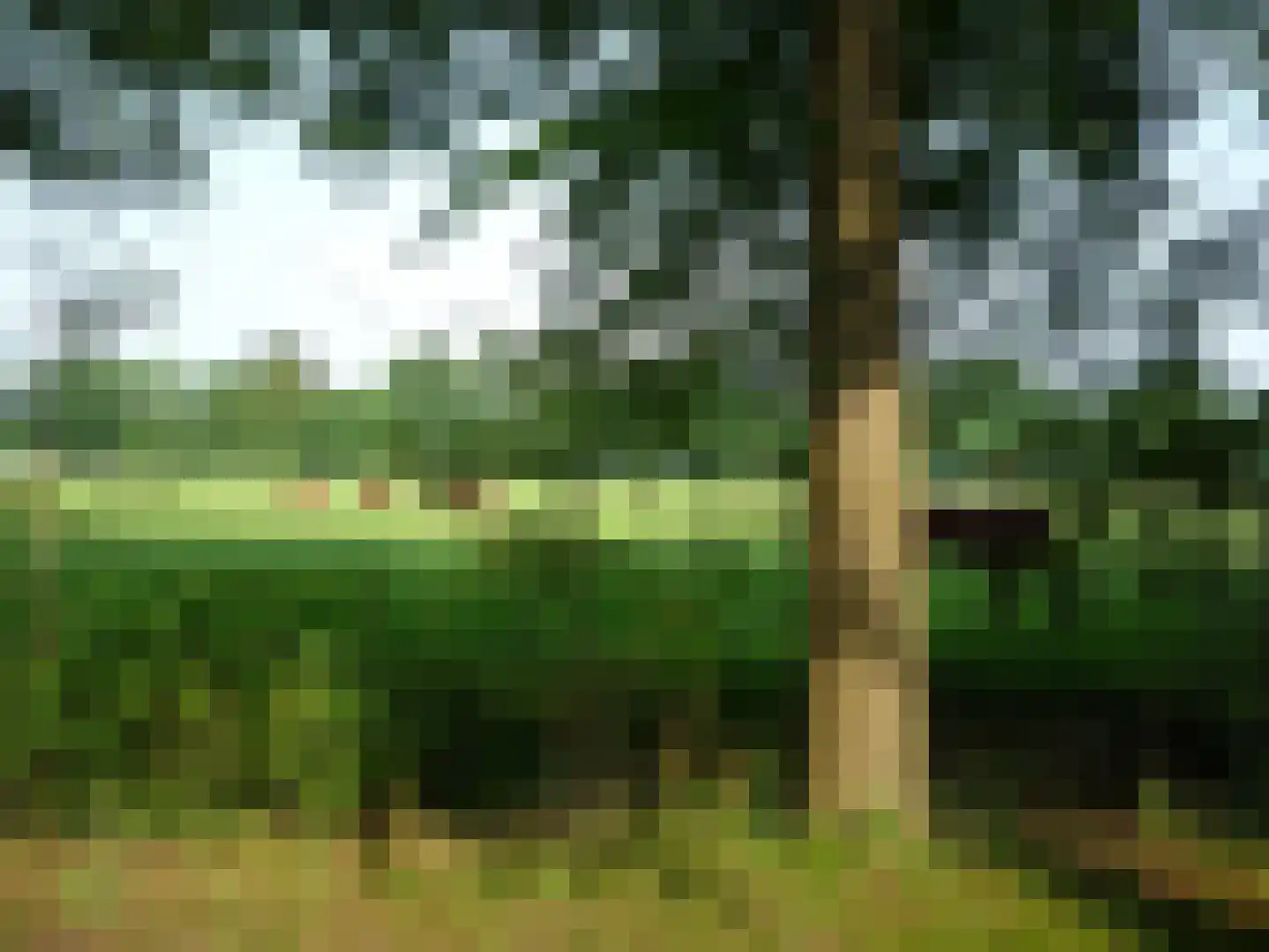 Laan van Rijnwijk 1 A1 Zeist thumbnail 31
