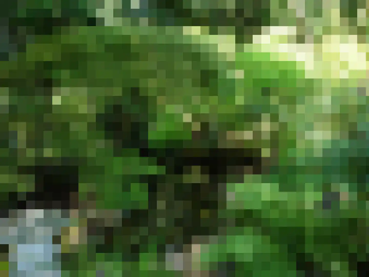 Laan van Rijnwijk 1 A1 Zeist thumbnail 38