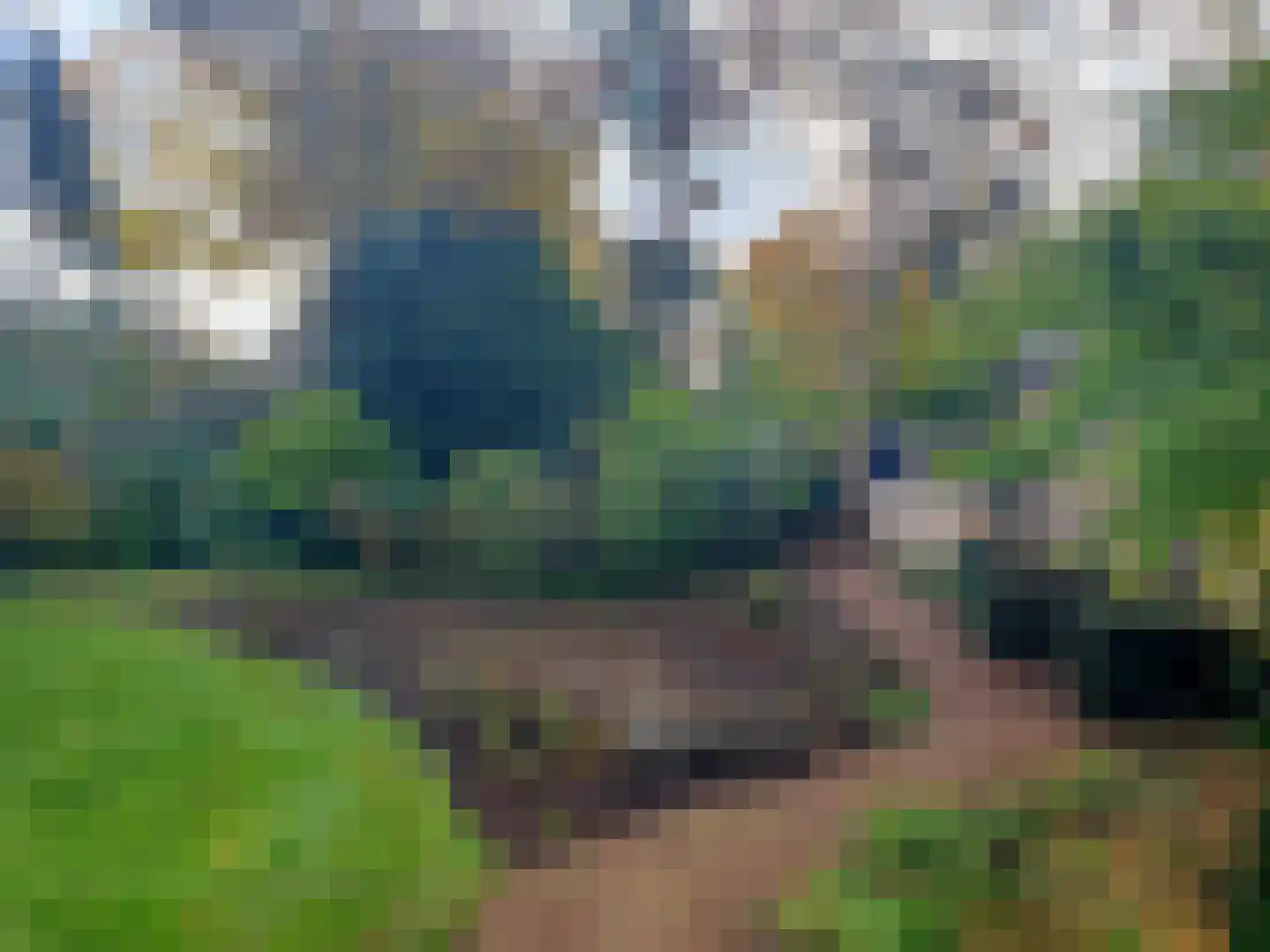 Laan van Rijnwijk 1 A1 Zeist thumbnail 5