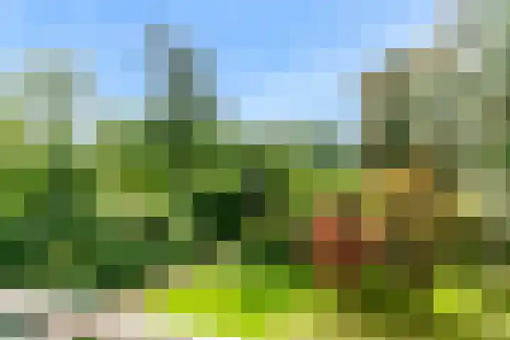 Laan van Rijnwijk 1 A27 Zeist thumbnail 16