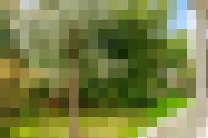 Laan van Rijnwijk 1 A27 Zeist thumbnail 17