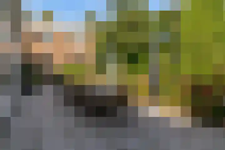 Laan van Rijnwijk 1 A27 Zeist thumbnail 23