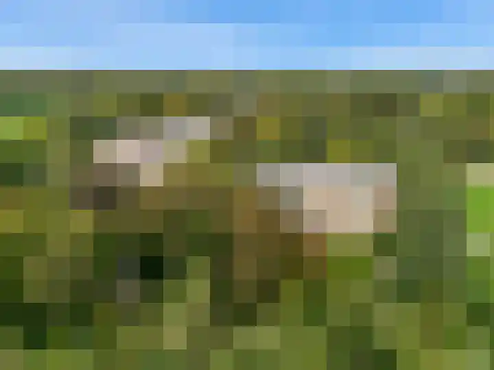 Laan van Rijnwijk 1 A27 Zeist thumbnail 29