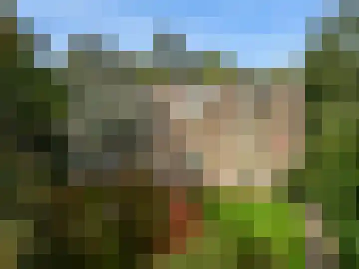 Laan van Rijnwijk 1 A27 Zeist thumbnail 30