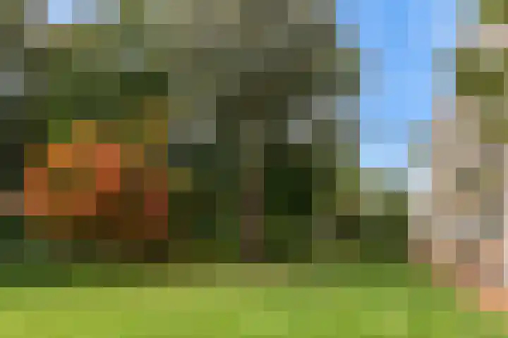 Laan van Rijnwijk 1 A27 Zeist thumbnail 31