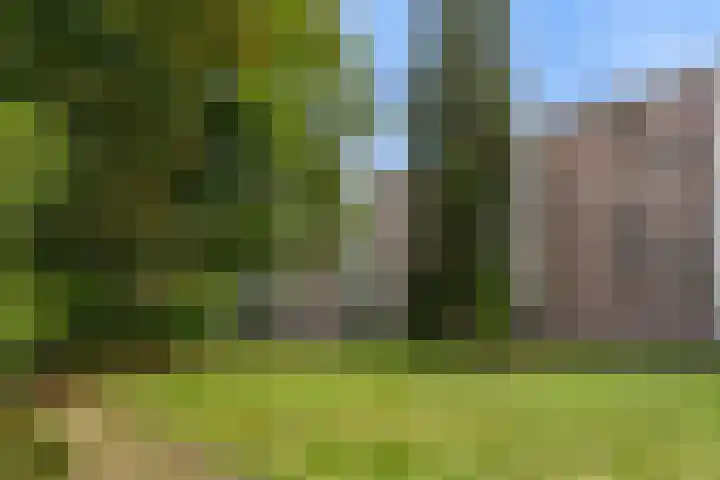 Laan van Rijnwijk 1 A27 Zeist thumbnail 32