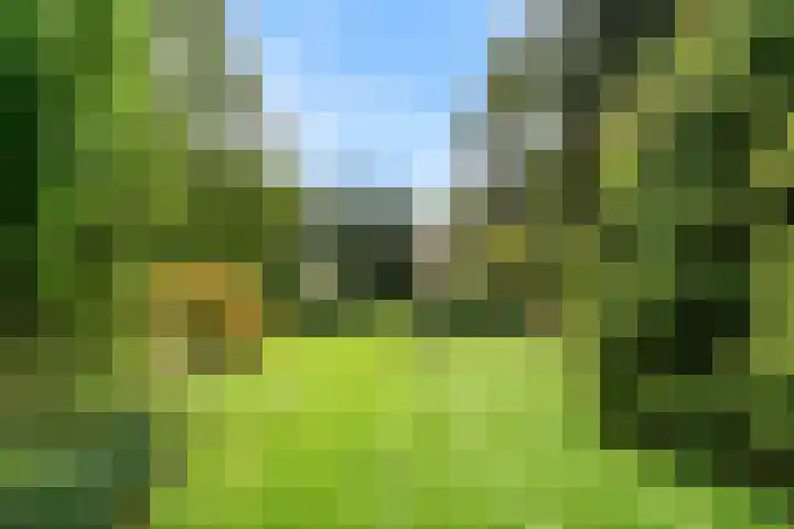 Laan van Rijnwijk 1 A27 Zeist thumbnail 33