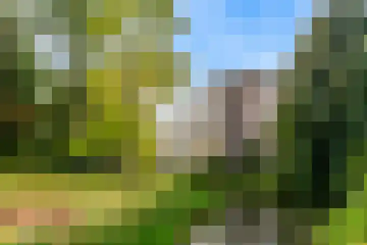 Laan van Rijnwijk 1 A27 Zeist thumbnail 34