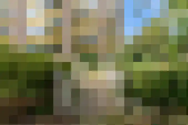 Laan van Rijnwijk 1 A27 Zeist thumbnail 36