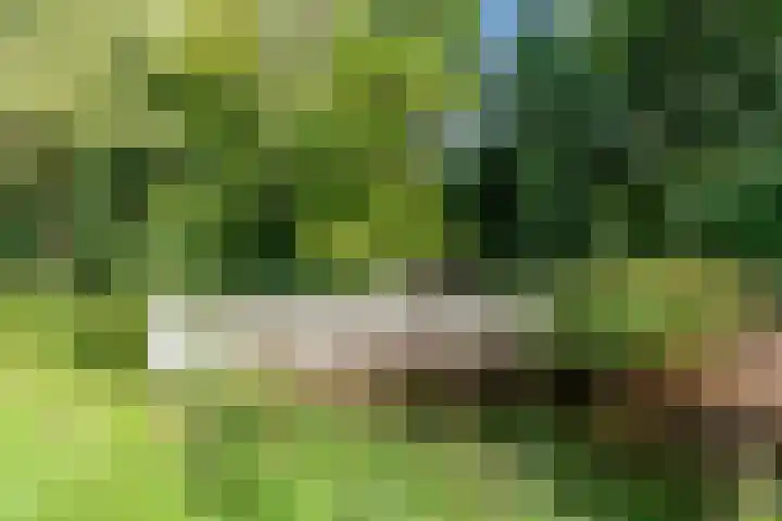 Laan van Rijnwijk 1 A27 Zeist thumbnail 37