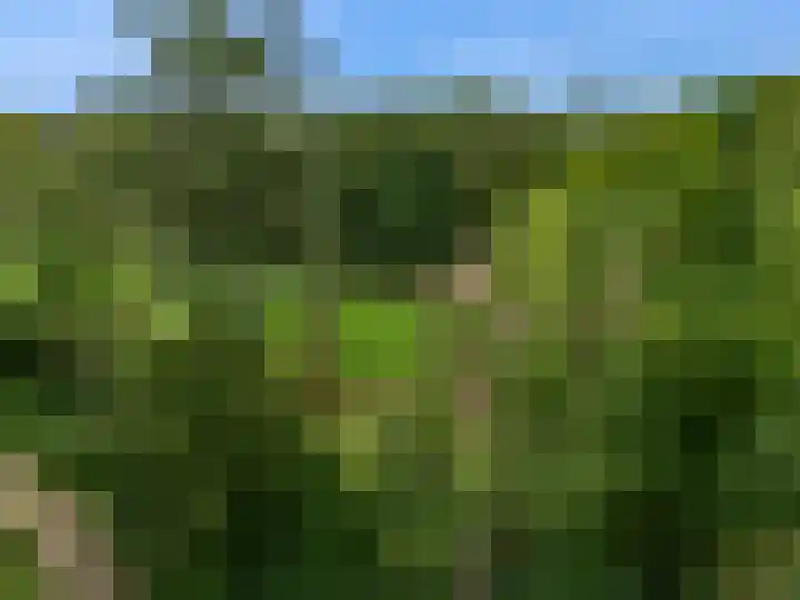 Laan van Rijnwijk 1 A27 Zeist thumbnail 38