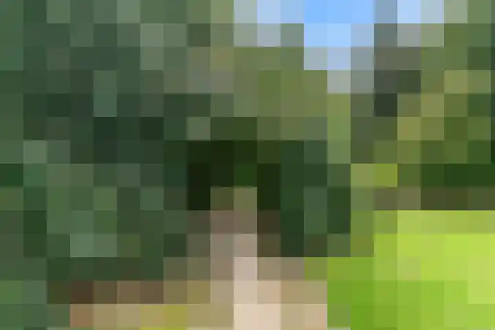 Laan van Rijnwijk 1 A27 Zeist thumbnail 39