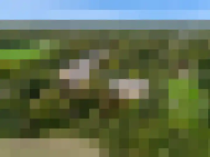 Laan van Rijnwijk 1 A27 Zeist thumbnail 4