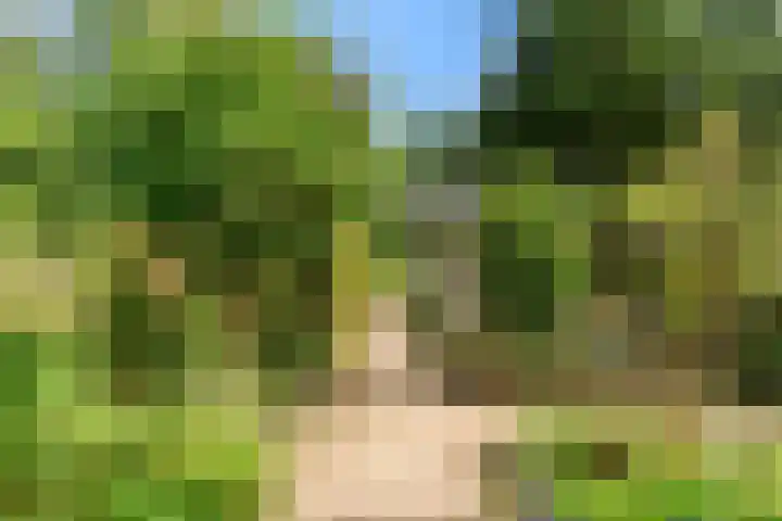 Laan van Rijnwijk 1 A27 Zeist thumbnail 40