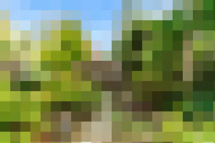 Laan van Rijnwijk 1 A27 Zeist thumbnail 41