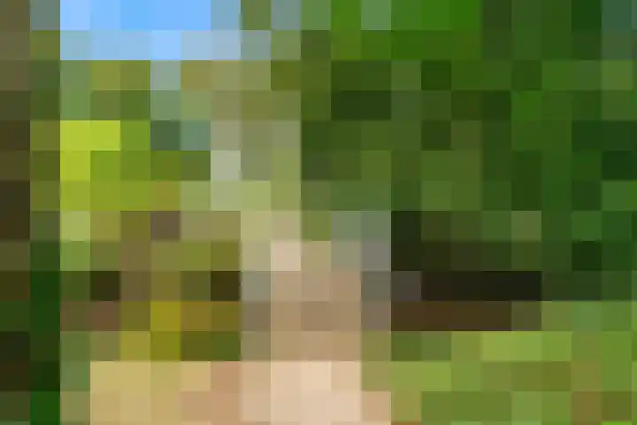 Laan van Rijnwijk 1 A27 Zeist thumbnail 42