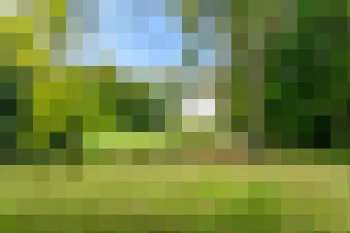 Laan van Rijnwijk 1 A27 Zeist thumbnail 43