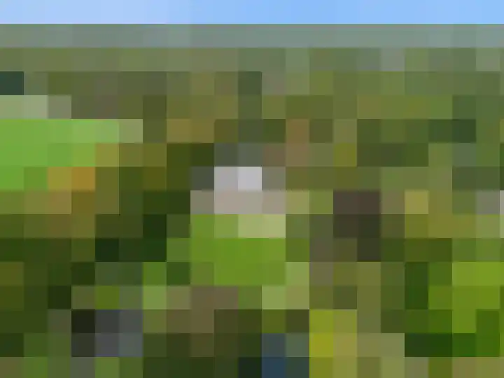 Laan van Rijnwijk 1 A27 Zeist thumbnail 45