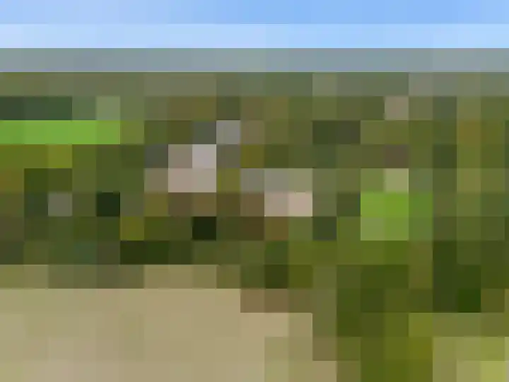 Laan van Rijnwijk 1 A27 Zeist thumbnail 46