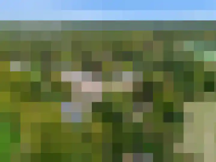 Laan van Rijnwijk 1 A27 Zeist thumbnail 47
