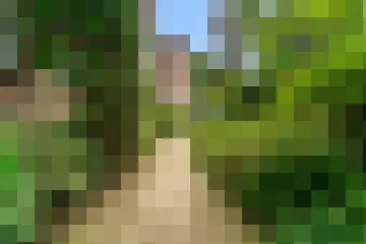 Laan van Rijnwijk 1 A27 Zeist thumbnail 5