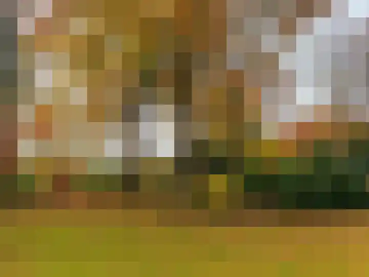 Laan van Rijnwijk 1 A5 Zeist thumbnail 10